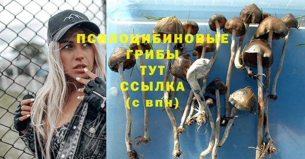 гидропоника Алзамай