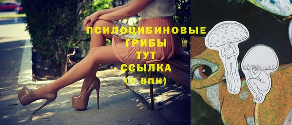 гидропоника Алзамай