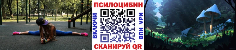 купить   Тимашёвск  Псилоцибиновые грибы MAGIC MUSHROOMS 